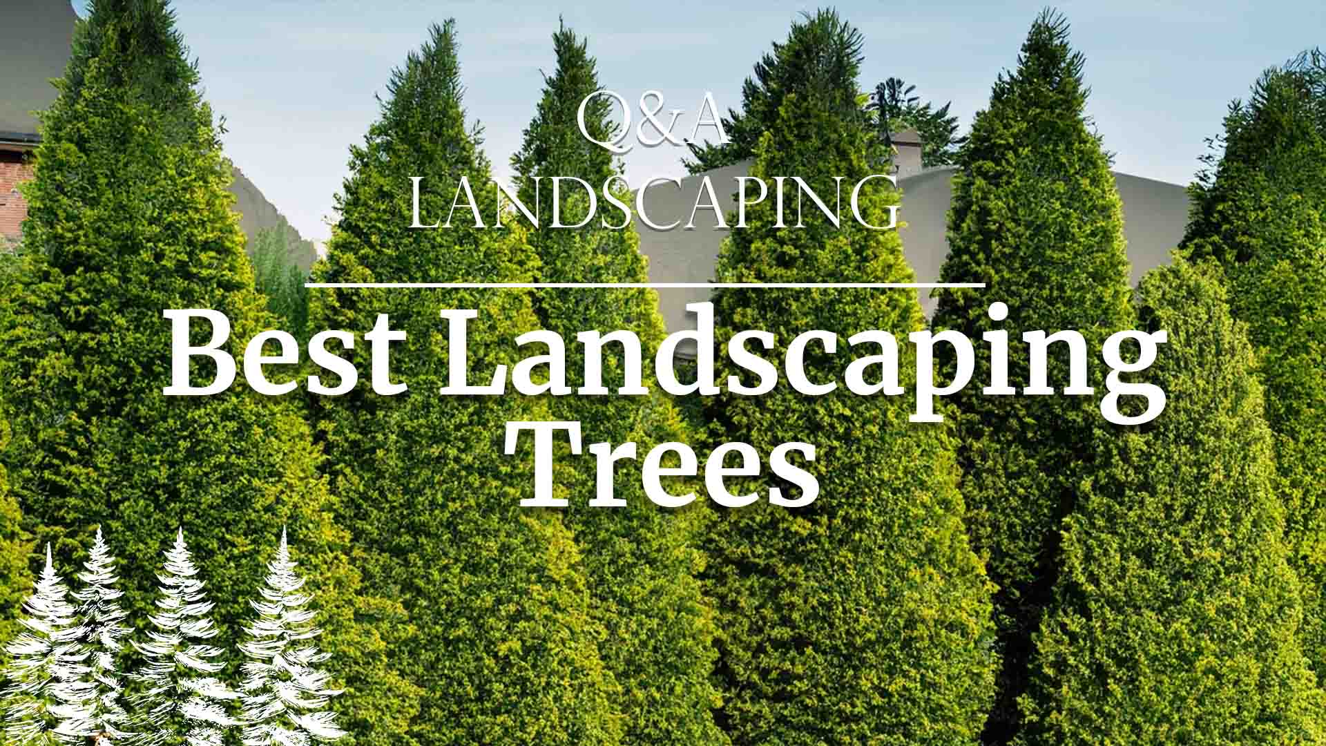 Best landscaping trees