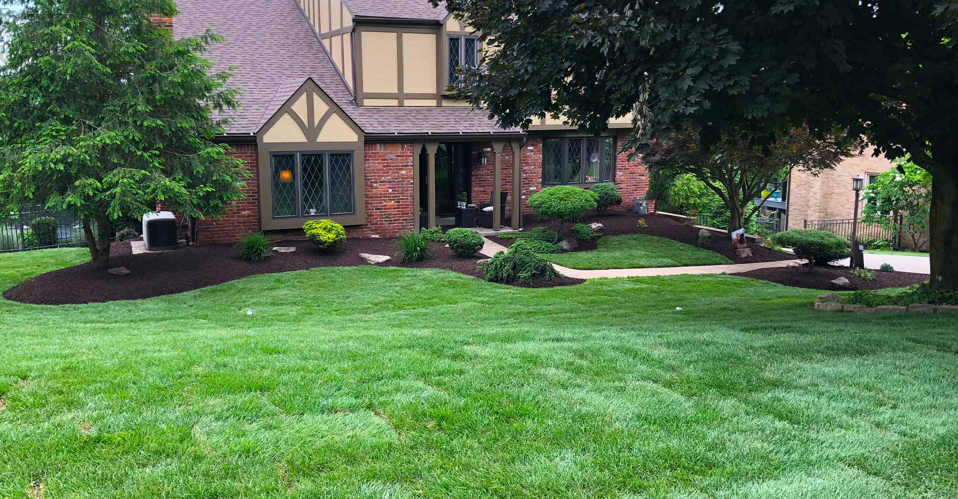 Pristine new grass lawn