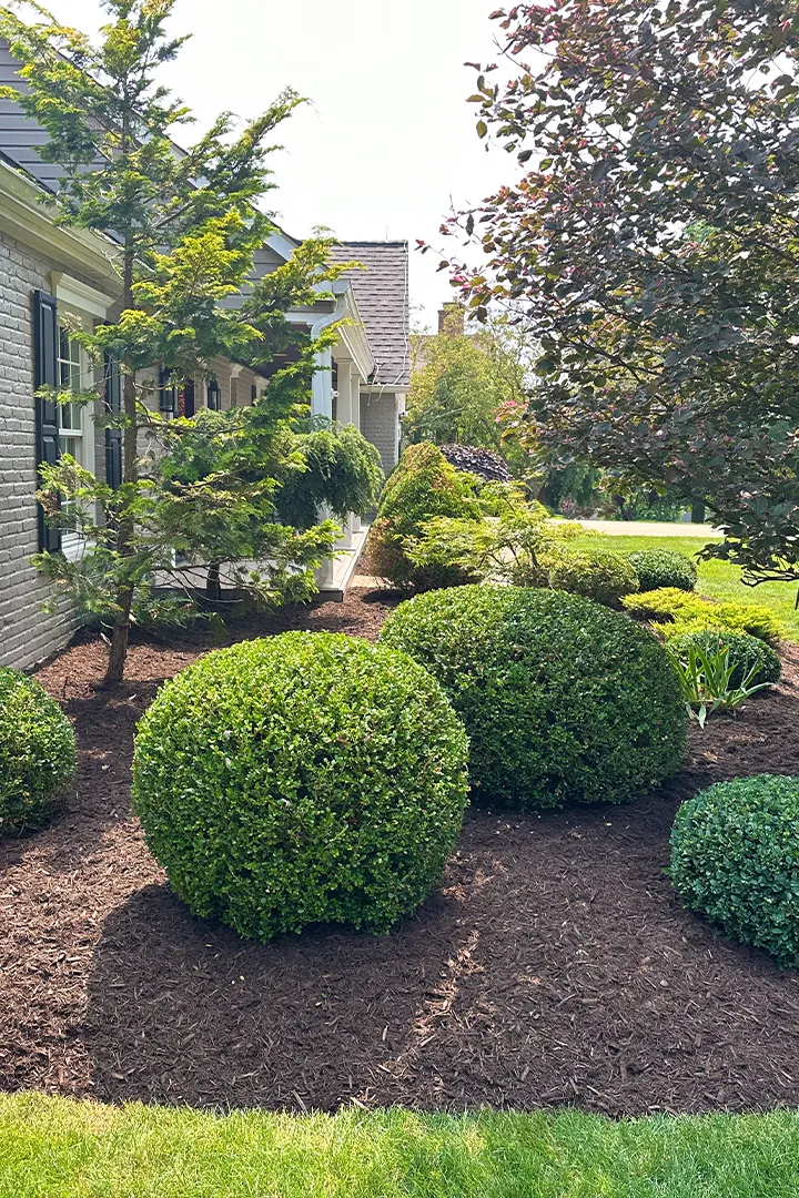 Professional mulch installation service in Pittsburgh PA
