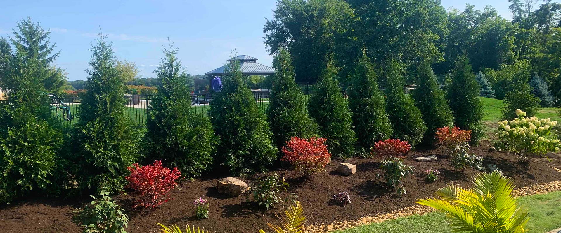 Shrub and perennial planting installed by Q&A Landscaping