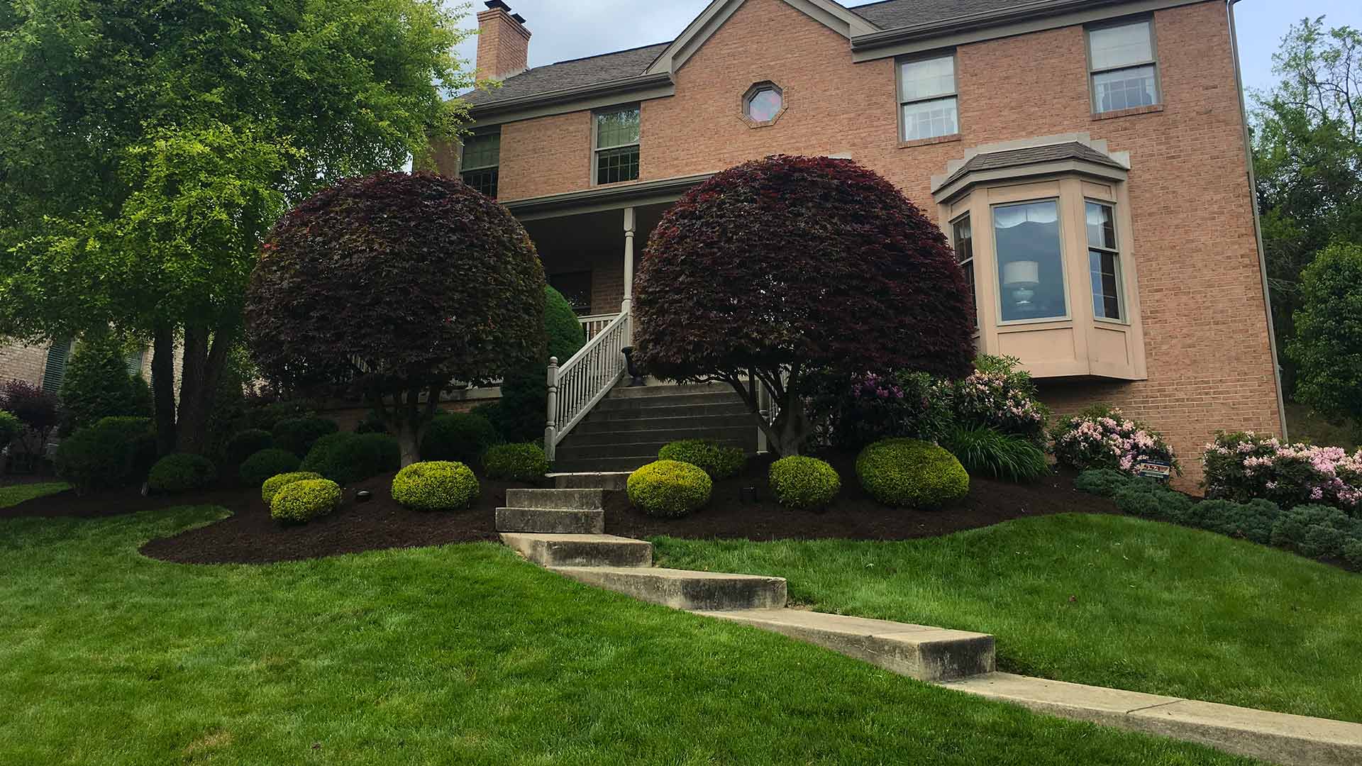 A front lawn mulch job