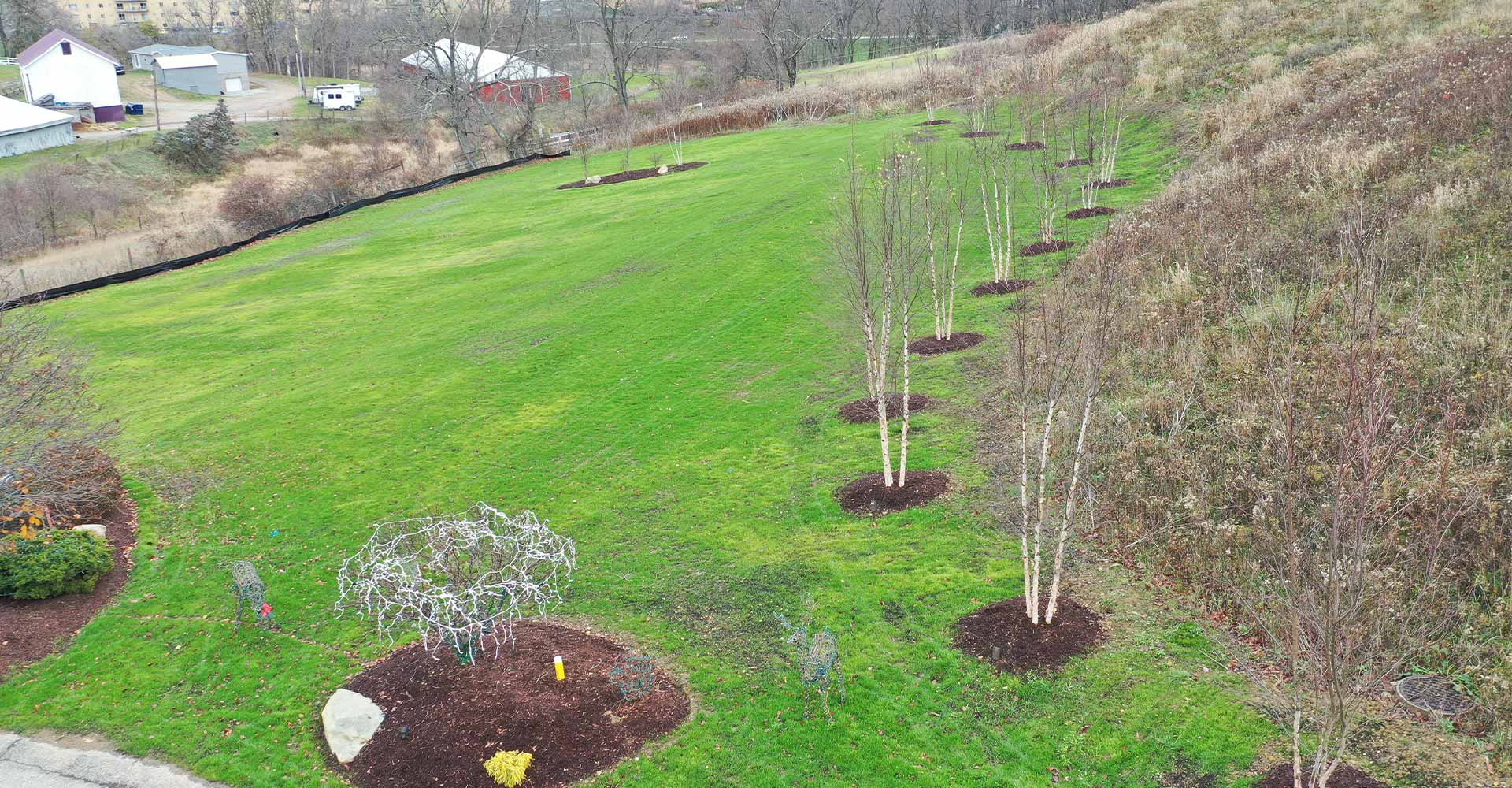 A large lawn and tree installation
