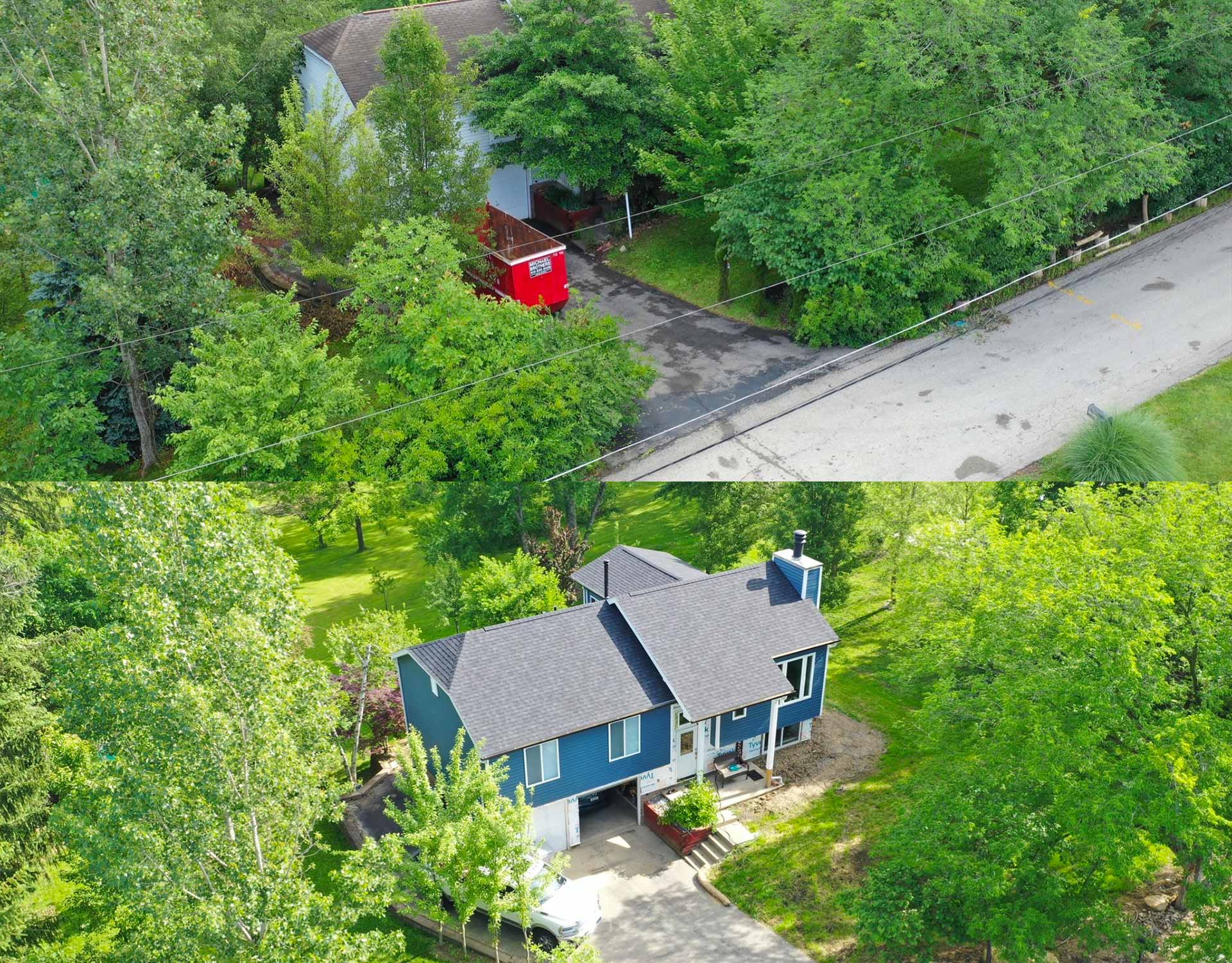 Birds eye few of a tree trimming