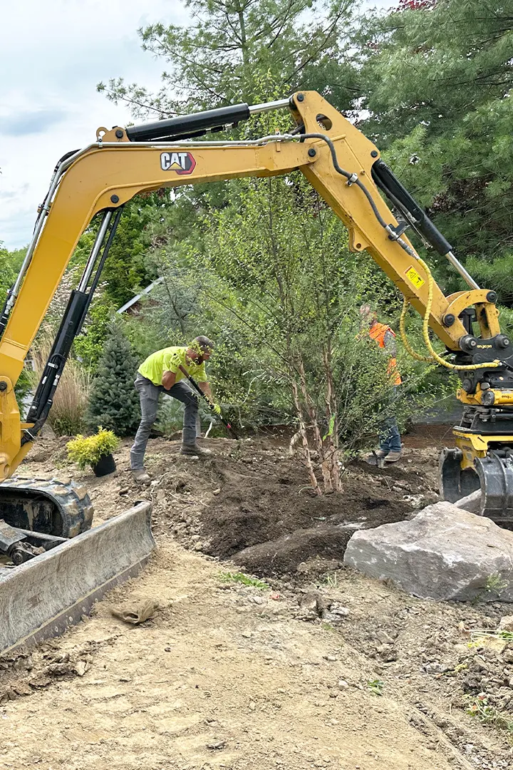 Tree installation in Pittsburgh PA