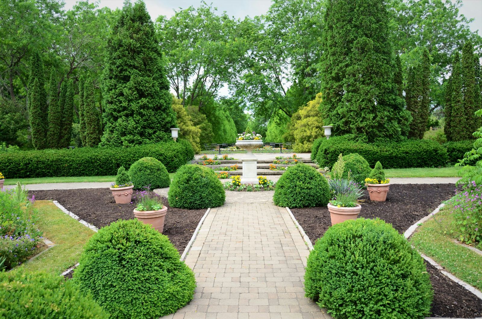 French country garden with clipped boxwood, terracotta planters, and a gravel path