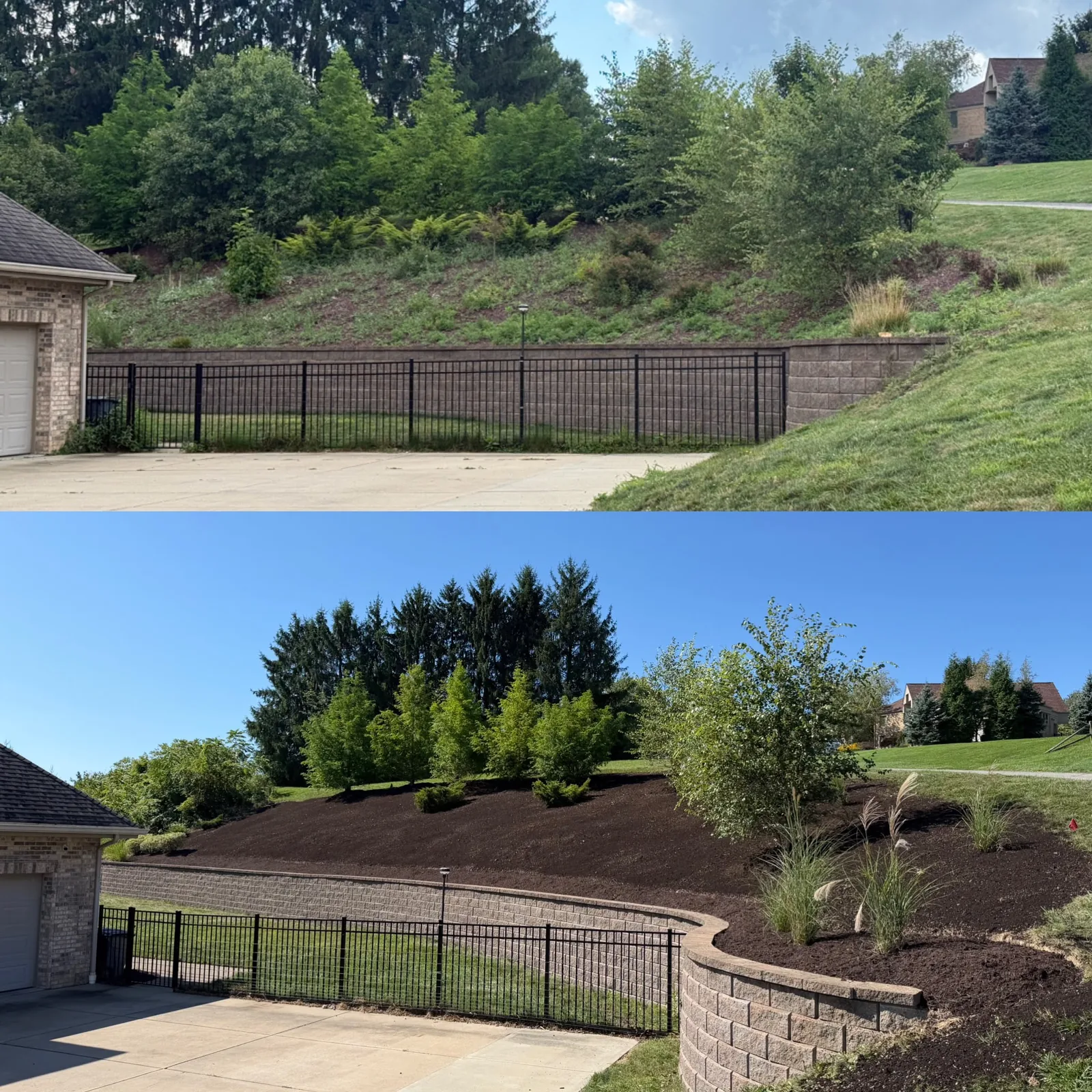 Before (top) and after (bottom) of the hillside above the retaining wall and black fence
