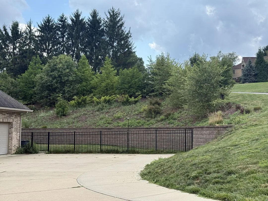 Before: the overgrown hillside above the retaining wall and black fence beside the driveway