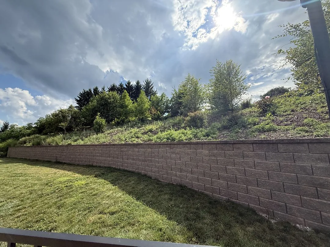 Before: overgrown vegetation on the slope above the long retaining wall